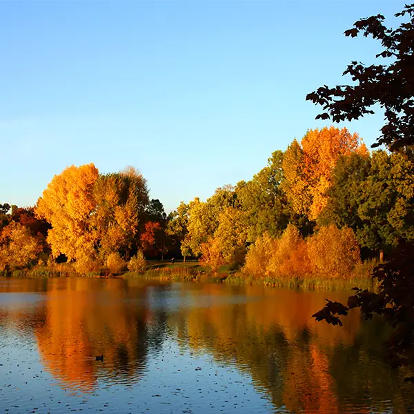 Herbstbäume mit gelben und orangefarbenen Blättern spiegeln sich in einem ruhigen See.