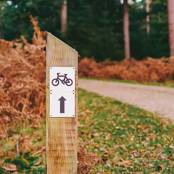 Holzpfosten mit Fahrradweg-Schild und Pfeil, der Fahrradstrecken Leipzig im Wald anzeigt.